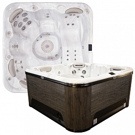 Спа бассейн Hydropool Signature 679 Gold